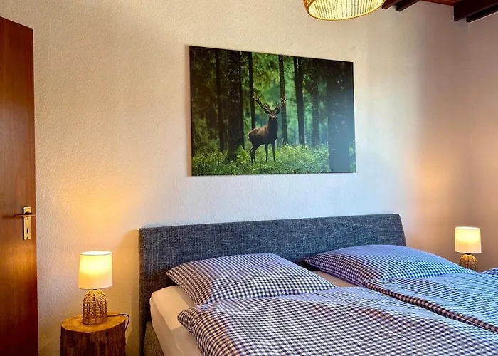 アパート Lightquartier Harzloft14 Modernes In Braunlage, & Komfort Pur